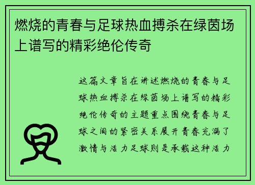 燃烧的青春与足球热血搏杀在绿茵场上谱写的精彩绝伦传奇