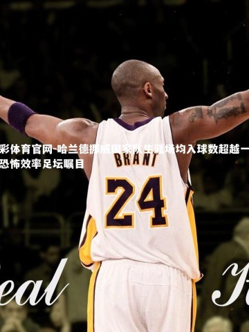 杏彩体育官网-哈兰德挪威国家队生涯场均入球数超越一球，恐怖效率足坛瞩目