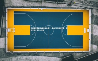 杏彩体育官网-韩国足球比赛中，首尔FC队拼搏不懈，取得平局，首尔fc球员