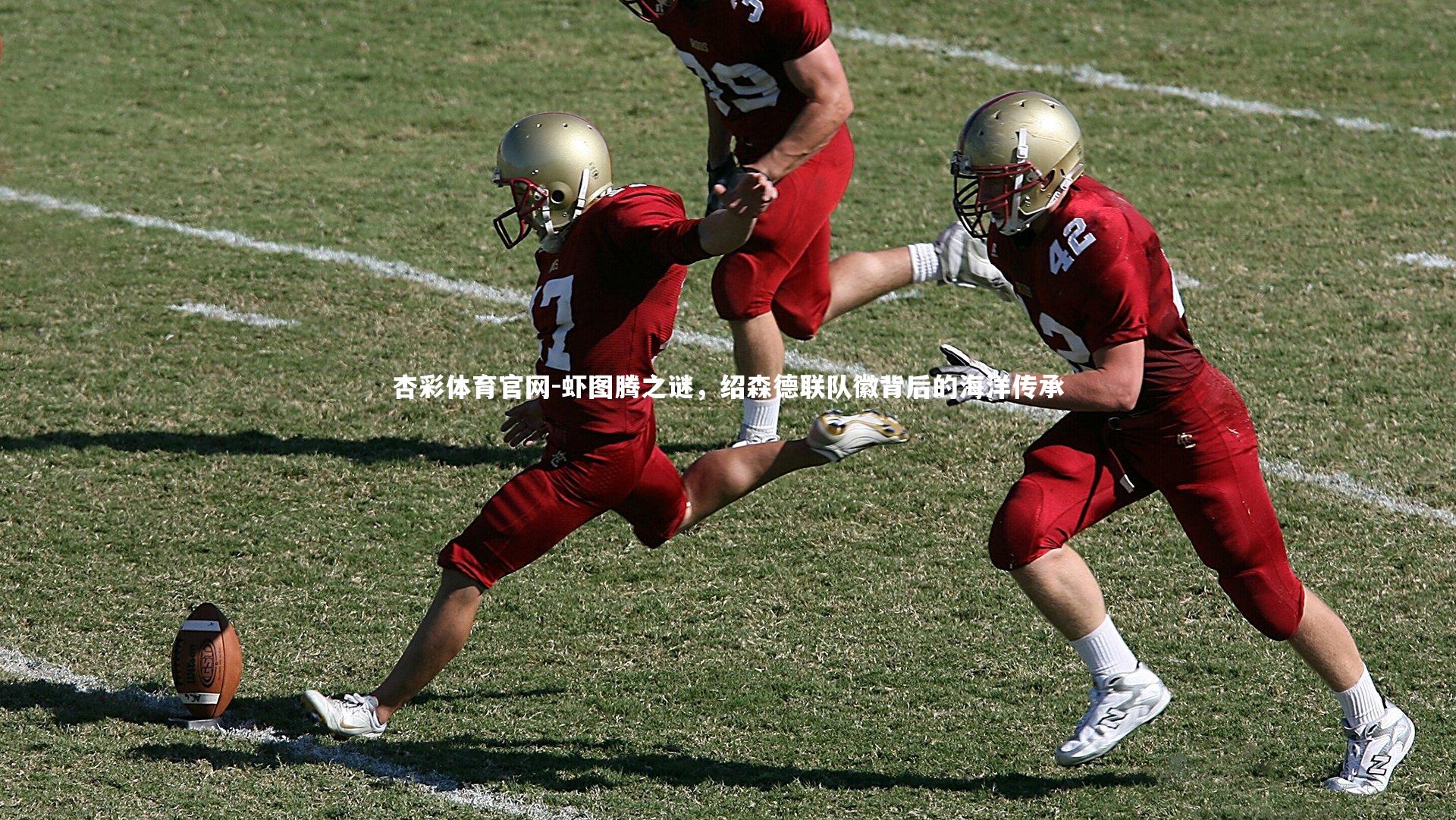 杏彩体育官网-虾图腾之谜，绍森德联队徽背后的海洋传承-第1张图片-杏彩体育官网