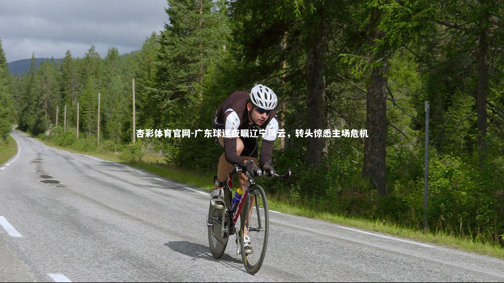 杏彩体育官网-广东球迷夜瞩辽宁风云，转头惊悉主场危机-第2张图片-杏彩体育官网